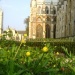 Royal Wedding “greens” Westminster Abbey
